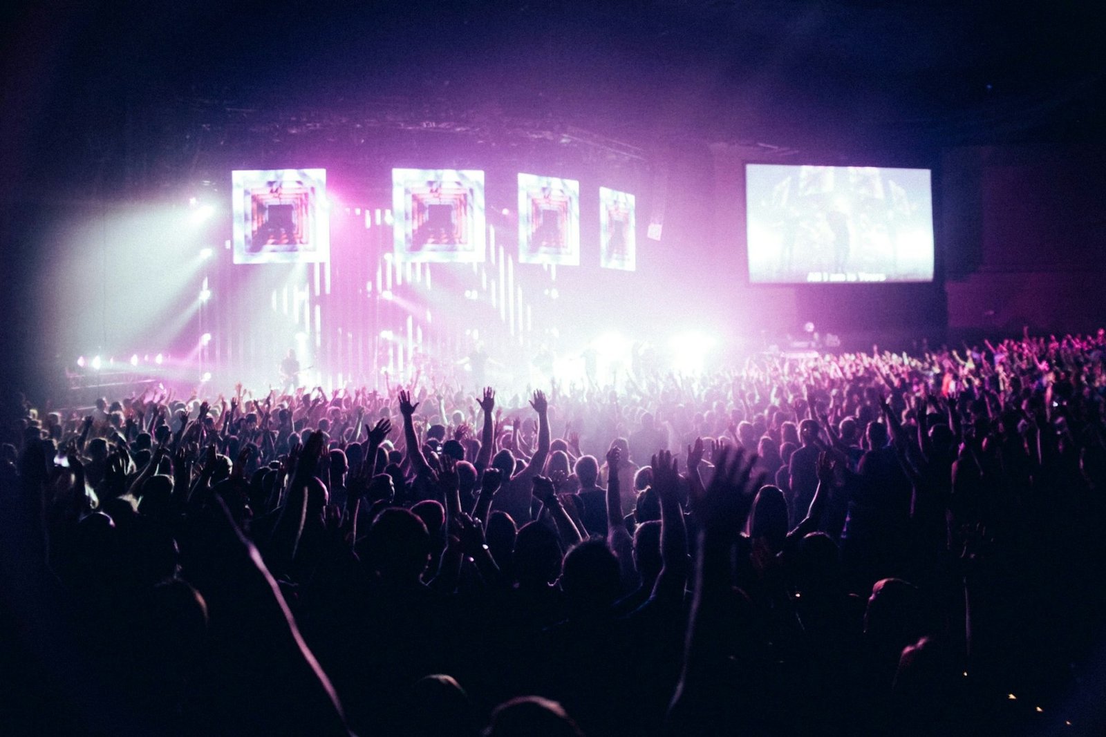Sensation 2024
